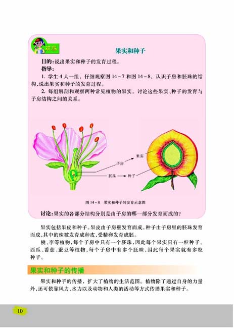 第二节 生物的无性生殖(第10页)