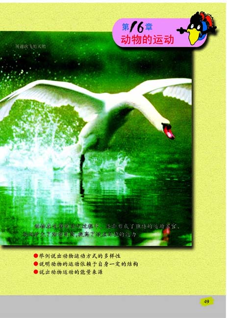 第16章 动物的运动(第49页)