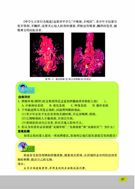 第一节 远离烟酒(第87页)