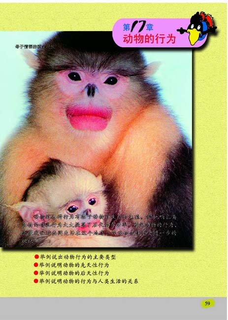 第17章 动物的行为(第59页)