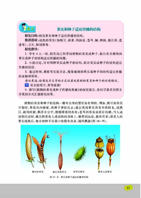 第二节 生物的无性生殖(第11页)