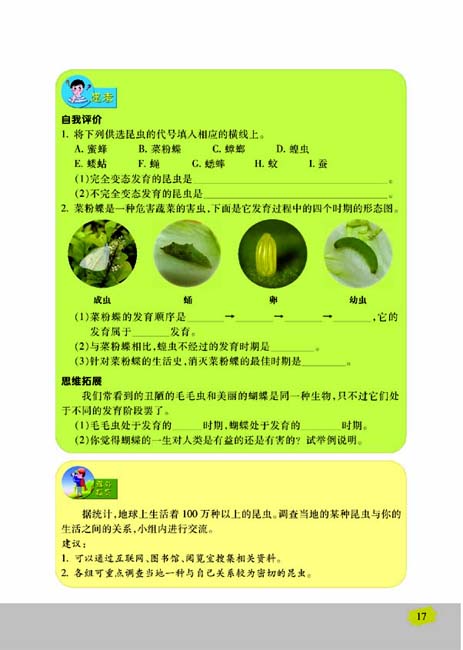 第三节 昆虫的生殖与发育(第17页)