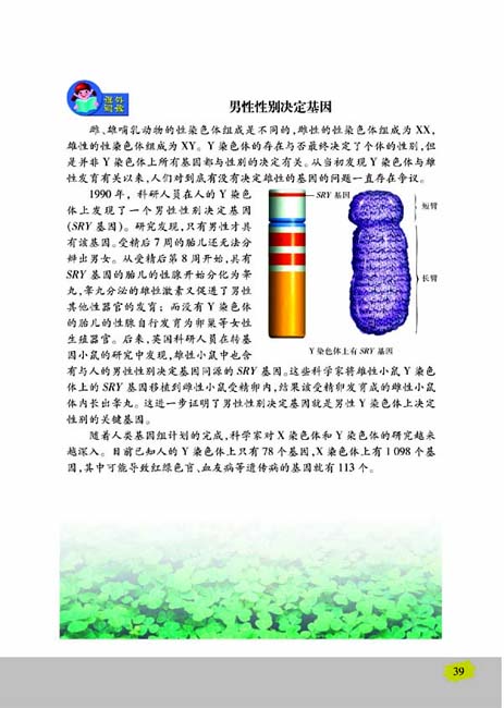 第三节 人的性别决定(第39页)