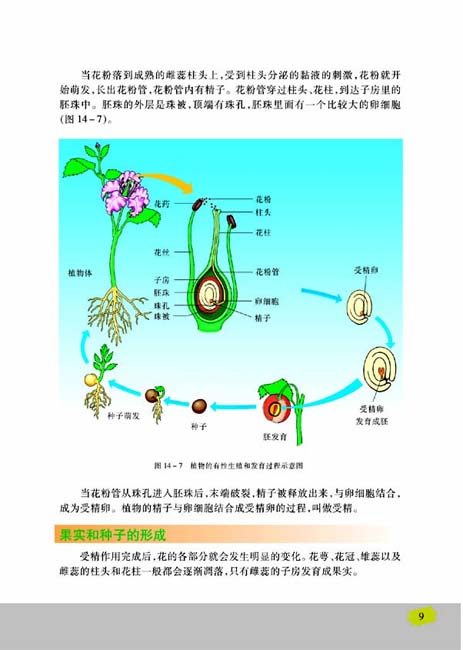 第二节 生物的无性生殖(第9页)