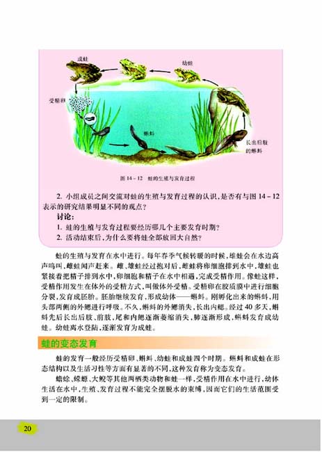 第四节 两栖类的生殖与发育(第20页)