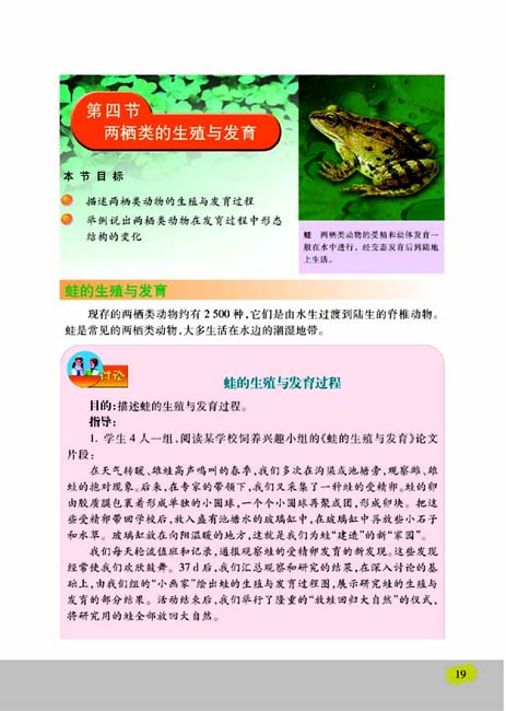 第四节 两栖类的生殖与发育(第19页)