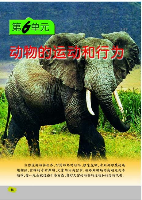 第6单元 动物的运动和行为(第48页)