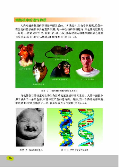 第一节 DNA是主要的遗传物质(第30页)