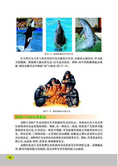 第二节 动物行为的生理基础(第66页)