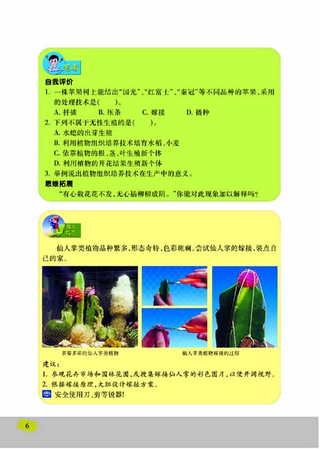 第一节 生物的无性生殖(第6页)