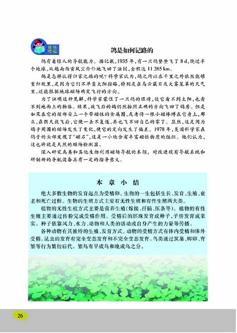 第五节 鸟类的生殖与发育(第26页)
