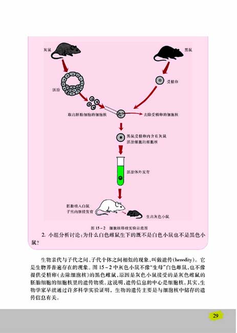 第一节 DNA是主要的遗传物质(第29页)