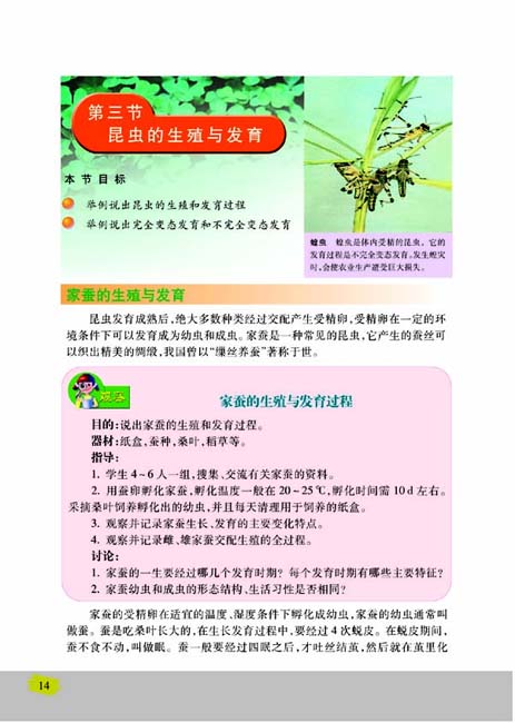 第三节 昆虫的生殖与发育(第14页)
