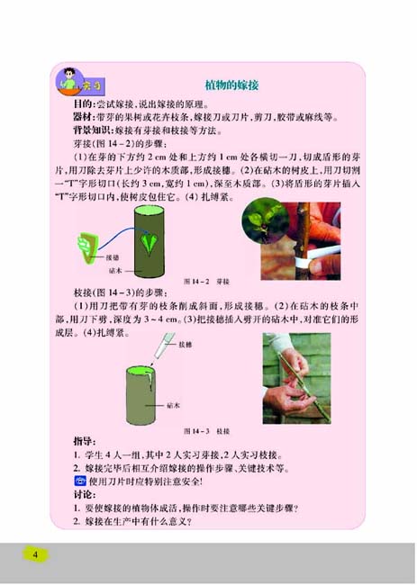 第一节 生物的无性生殖(第4页)