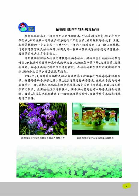第一节 生物的无性生殖(第7页)