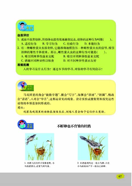 第二节 动物行为的生理基础(第67页)