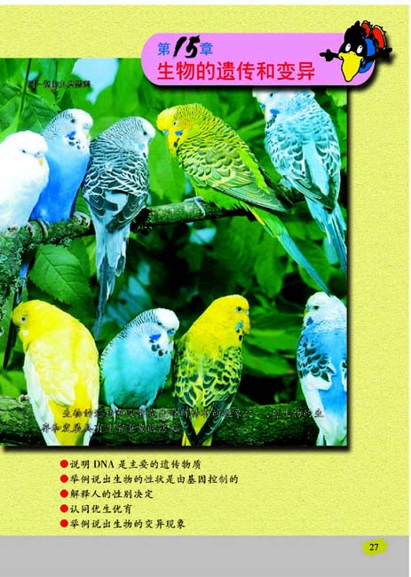 第15章 生物的遗传和变异(第27页)