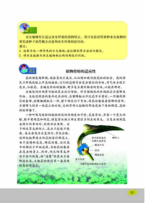 第二节 生物的无性生殖(第13页)