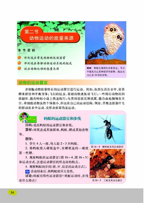 第二节 动物运动的能量来源(第54页)