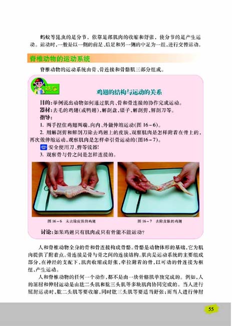 第二节 动物运动的能量来源(第55页)