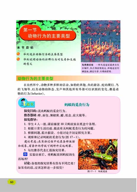 第一节 动物行为的主要类型(第60页)