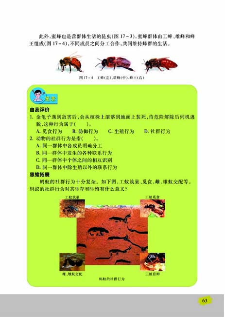 第一节 动物行为的主要类型(第63页)