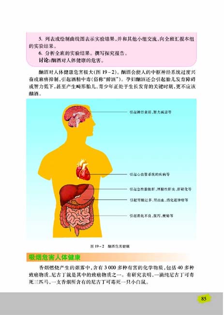 第一节 远离烟酒(第85页)