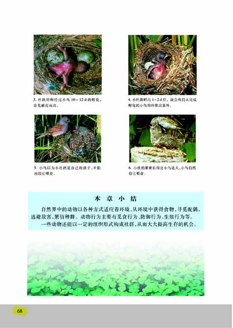 第二节 动物行为的生理基础(第68页)