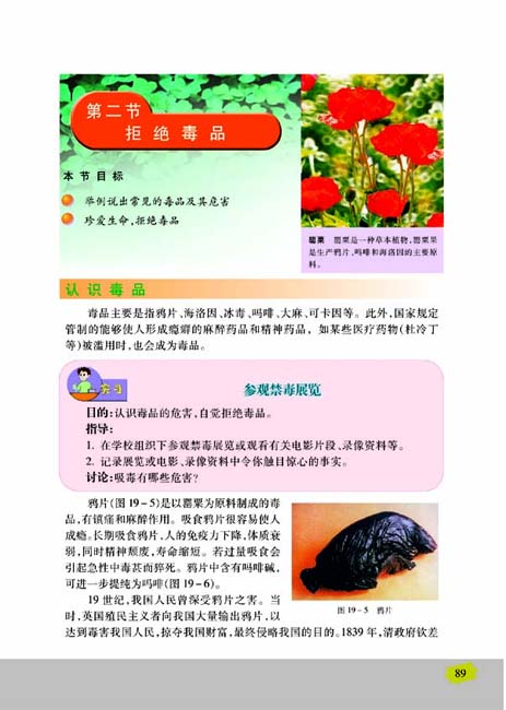 第二节 拒绝毒品(第89页)