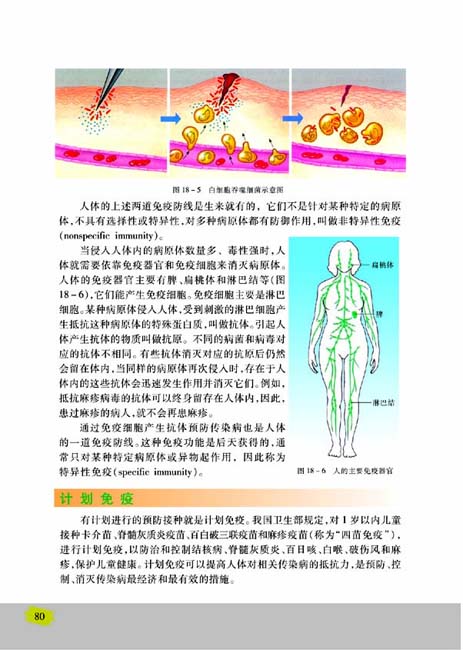 第三节 免疫(第80页)