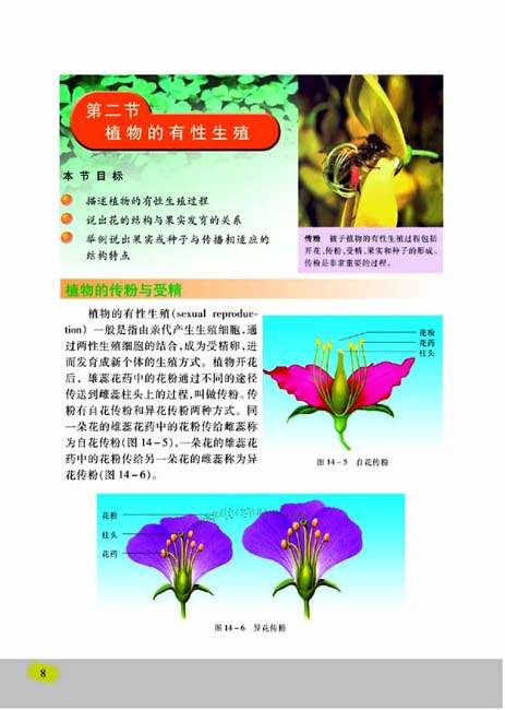 第二节 生物的无性生殖(第8页)