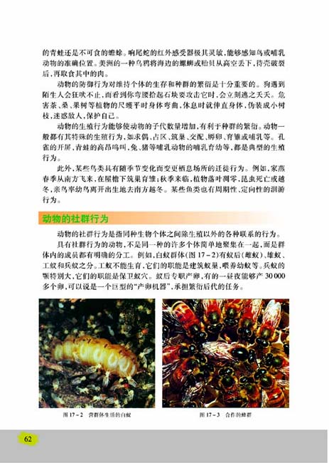 第一节 动物行为的主要类型(第62页)