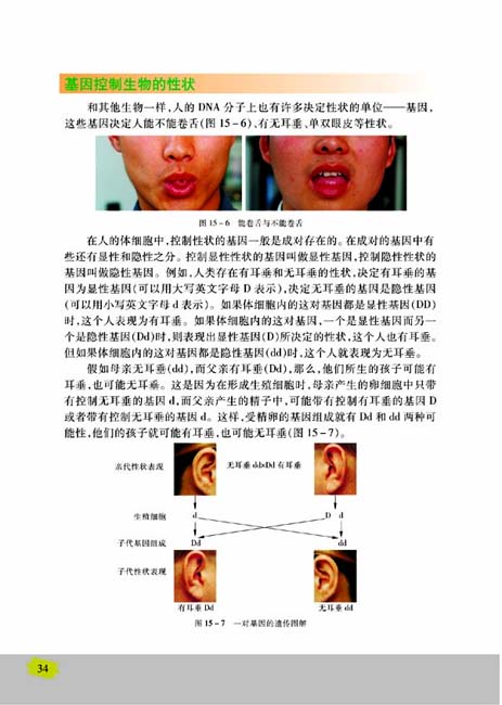 第二节 人的性状和遗传(第34页)
