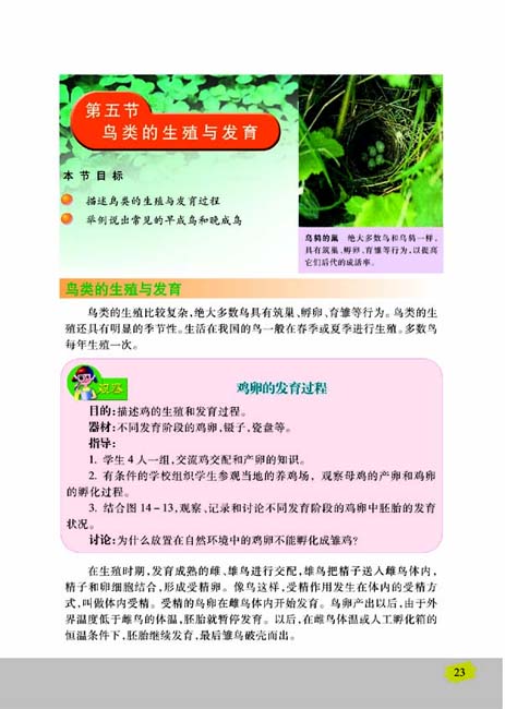 第五节 鸟类的生殖与发育(第23页)