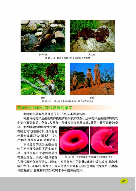 第五节 生物的变异(第45页)