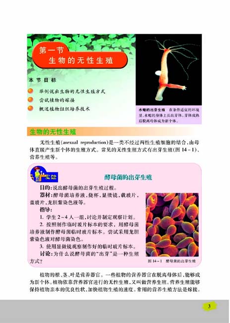 第一节 生物的无性生殖(第3页)
