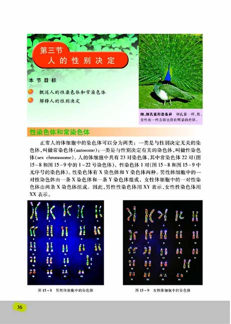 第三节 人的性别决定(第36页)