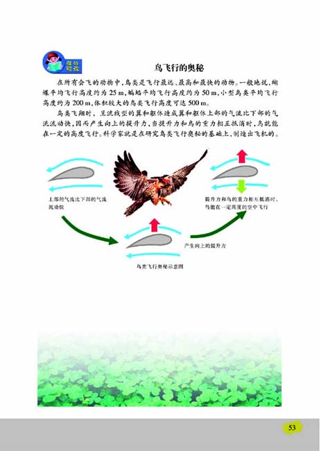 第一节 定位运动方式的多样性(第53页)