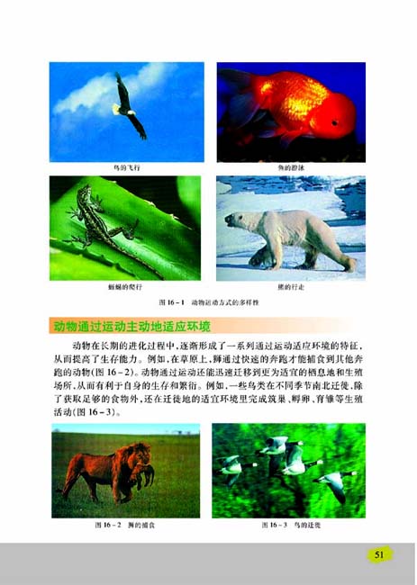 第一节 定位运动方式的多样性(第51页)