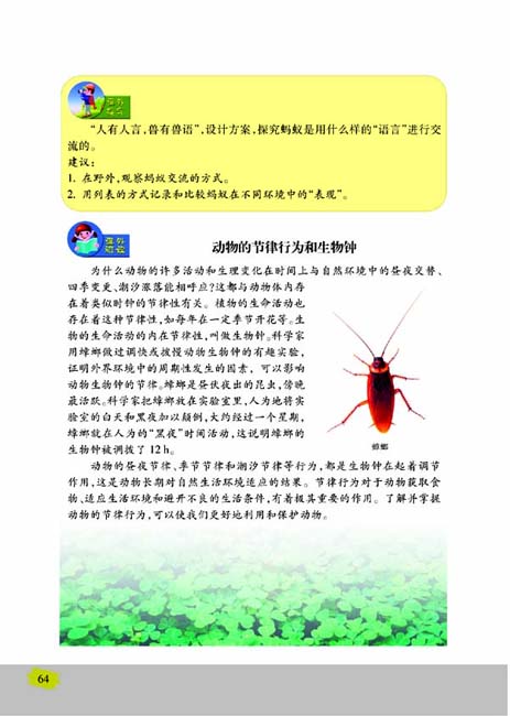 第一节 动物行为的主要类型(第64页)