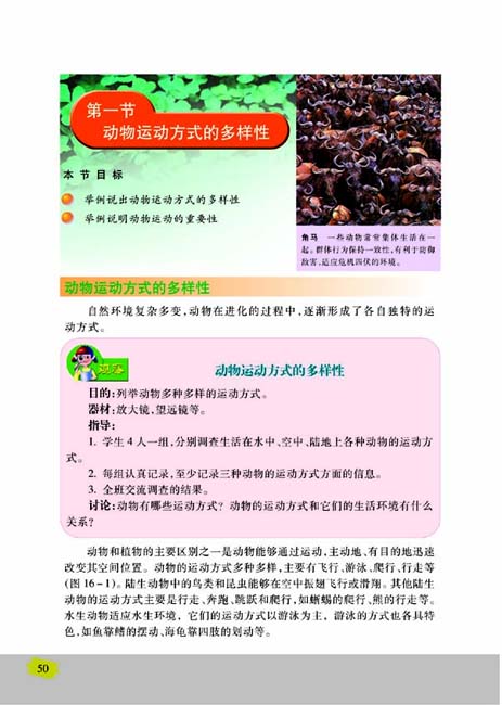 第一节 定位运动方式的多样性(第50页)