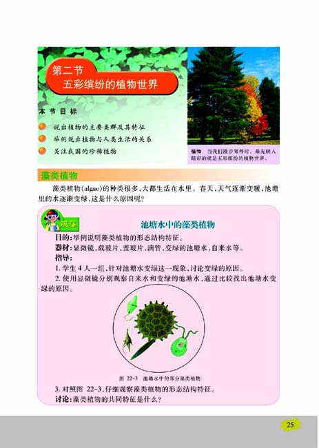 第二节 五彩缤纷的植物世界(第25页)