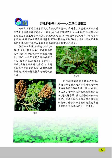 第一节 生物多样性(第57页)