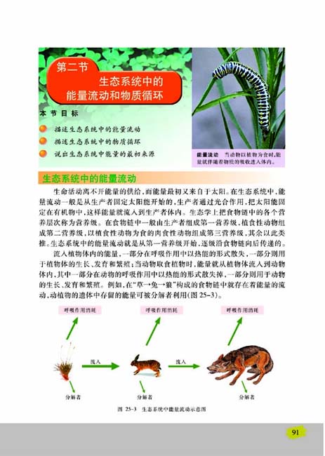 第二节 生态系统中的能量流动和物质循环(第91页)