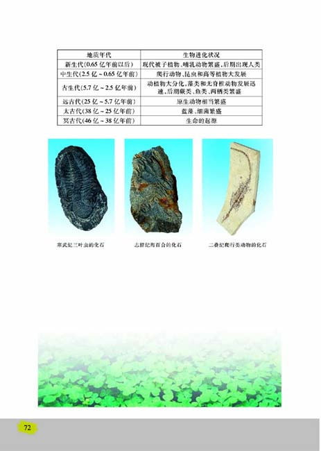 第二节 生物进化的历程(第72页)