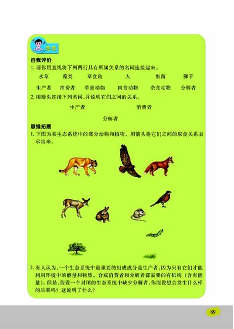 第一节 生态系统的组成(第89页)