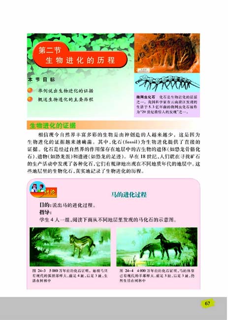 第二节 生物进化的历程(第67页)