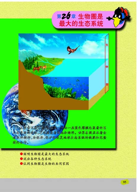 第26章 生物圈是最大的生态系统(第95页)