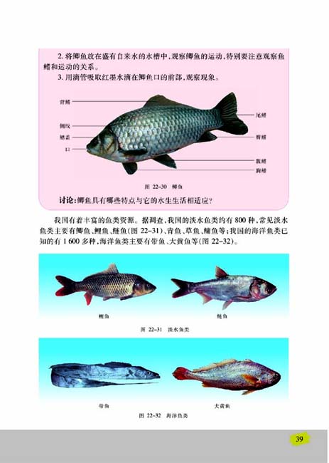 第三节 千姿百态的动物世界(第39页)