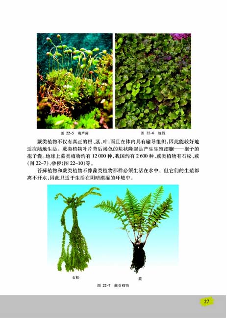 第二节 五彩缤纷的植物世界(第27页)